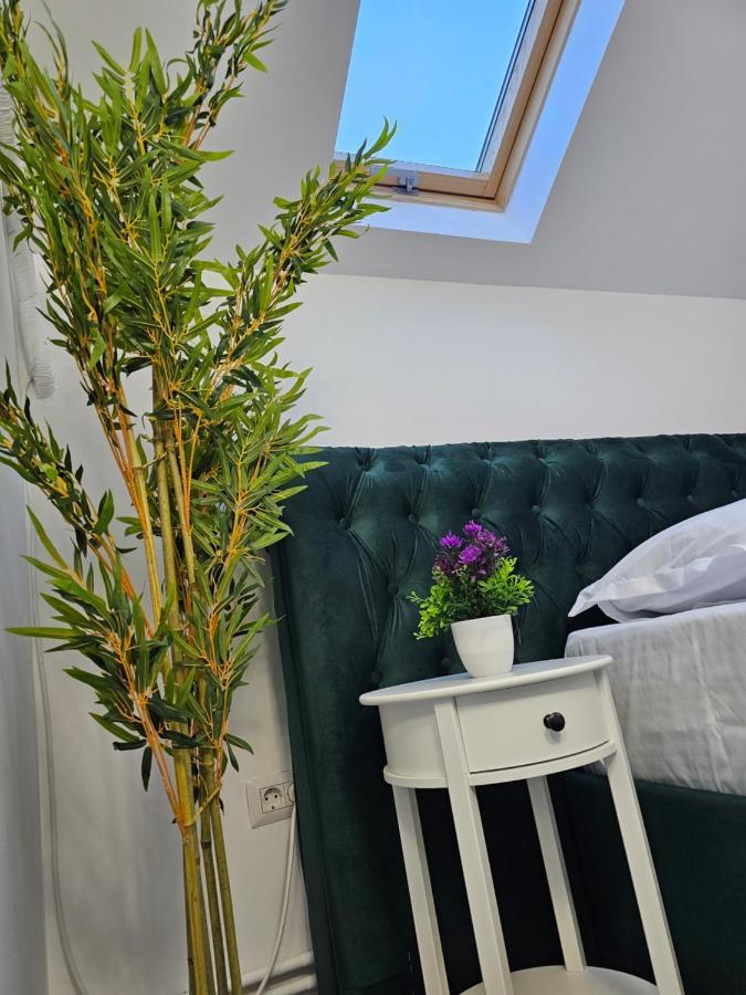 Perfect Villa פלוייסטי מראה חיצוני תמונה
